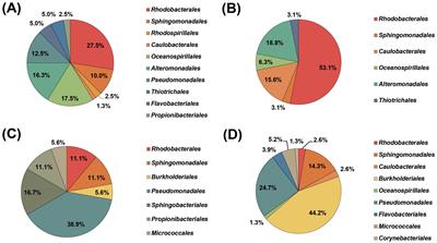 Cultivation of deep-sea bacteria from the Northwest Pacific Ocean and characterization of Limnobacter profundi sp. nov., a phenol-degrading bacterium